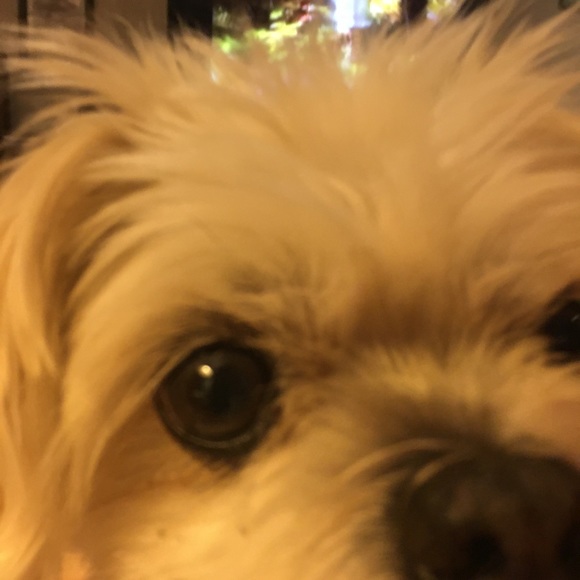 Meet your Posher, Dunn - Picture 1 of 1